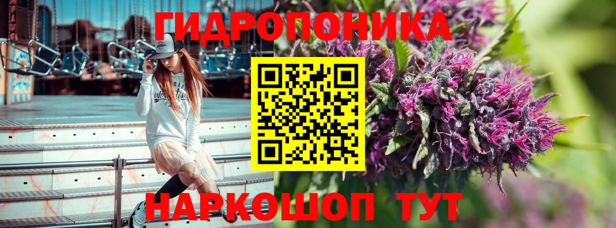 МАРИХУАНА сатива Саянск
